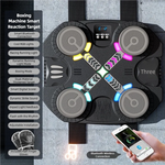 TINSOL Smart Boxing Machine