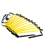 Agility Training Ladder